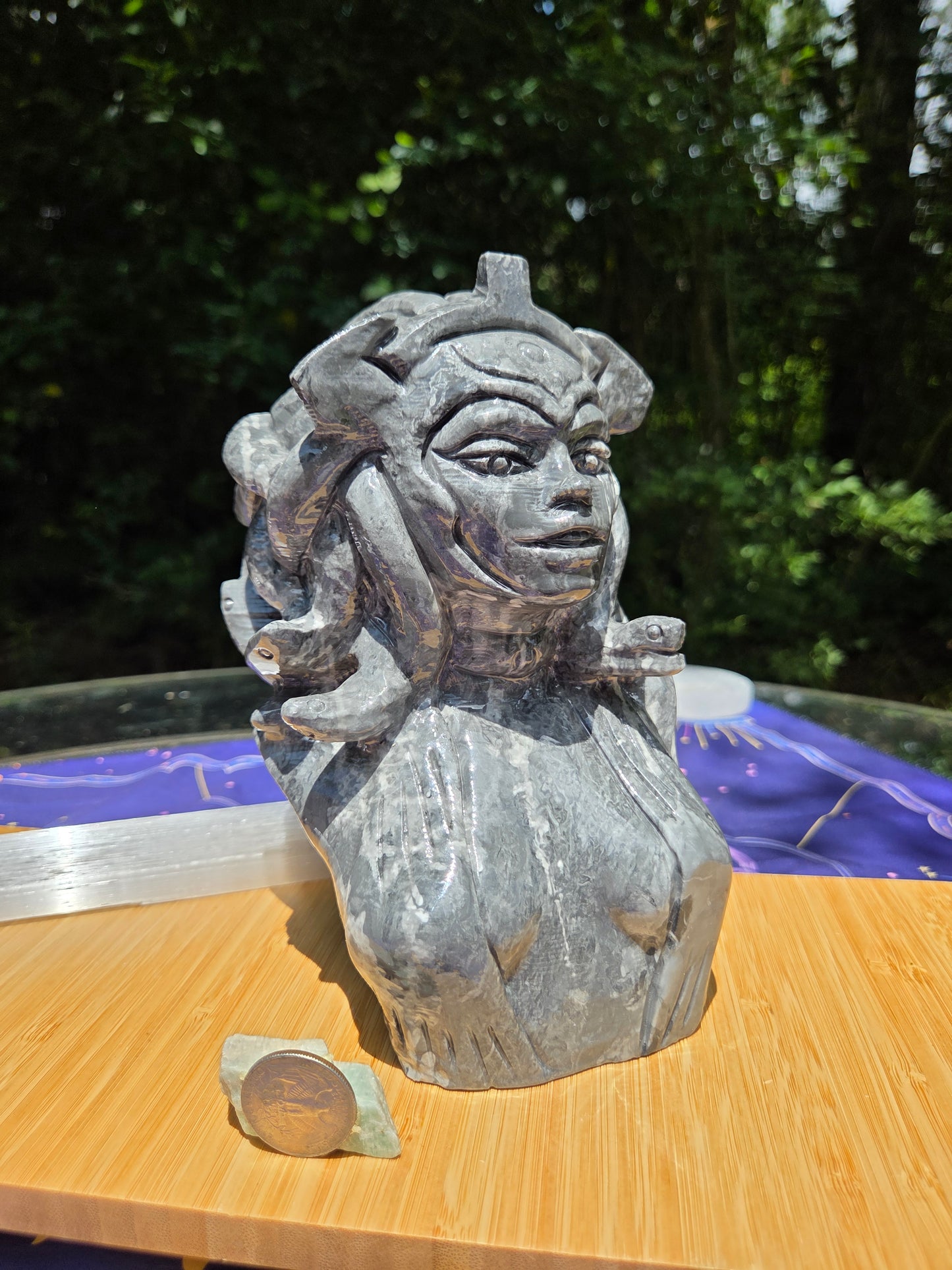 Picasso Jasper Medusa