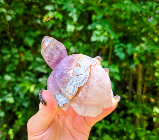Amethyst Agate Turtle 🐢