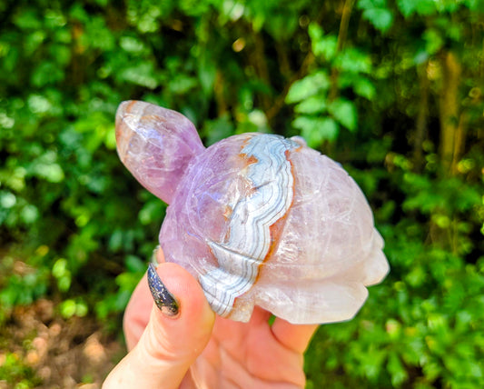 Amethyst Agate Turtle 🐢