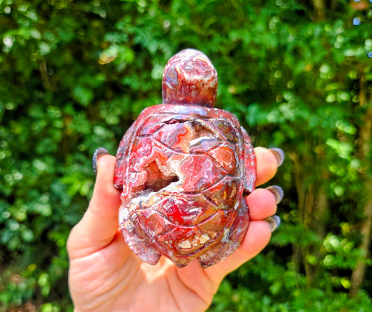Druzy Mexican Agate Turtle 🐢