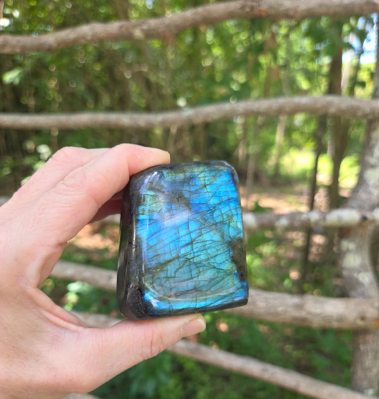 Labradorite Freeform- Super Flashy!!!✨️✨️✨️
