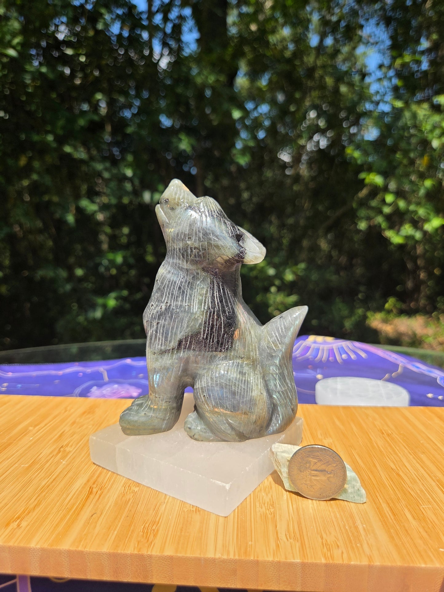 Labradorite Wolf 🐺