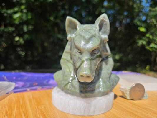 Jade Anubis