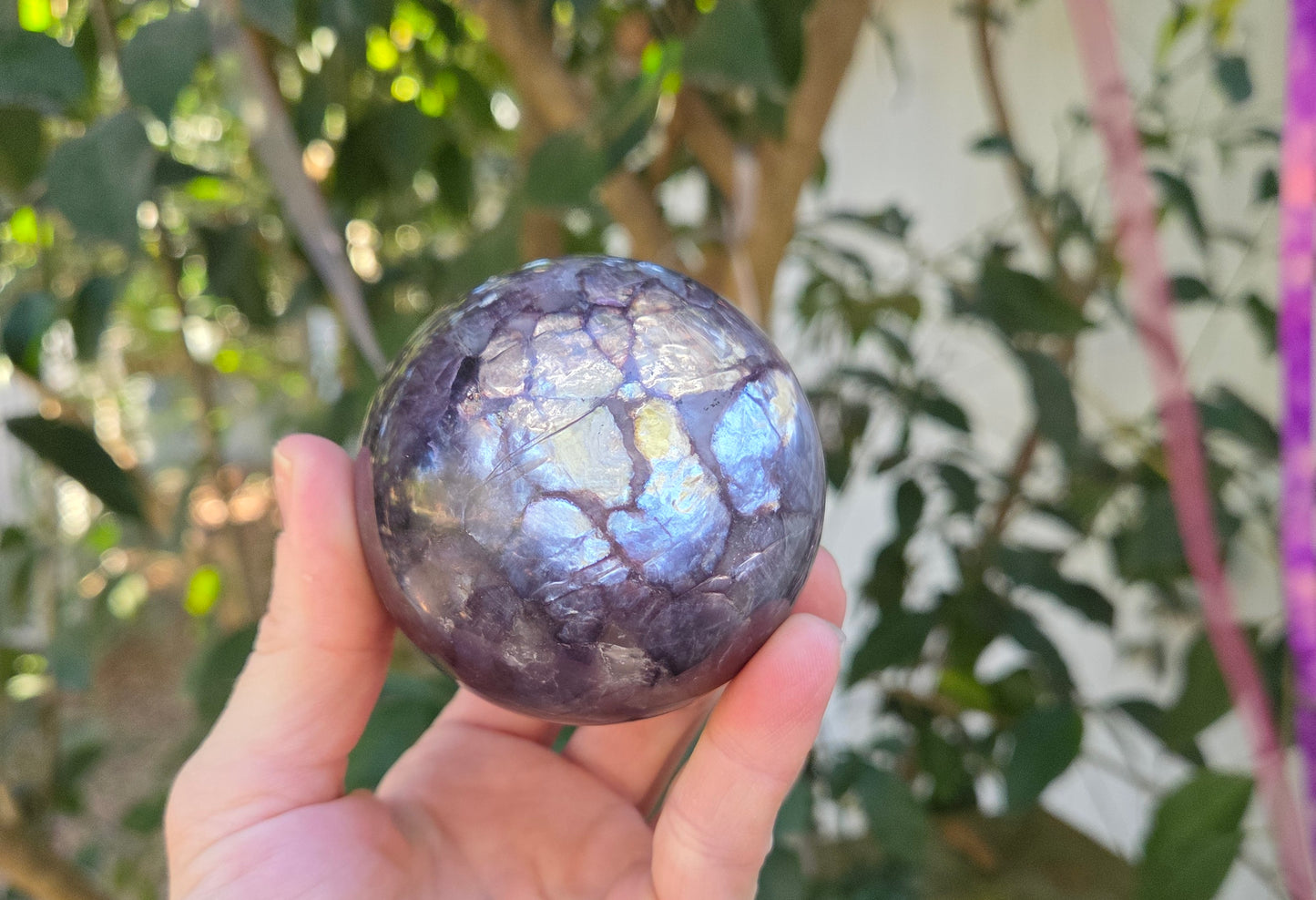 Gem Lepidolite Sphere💫