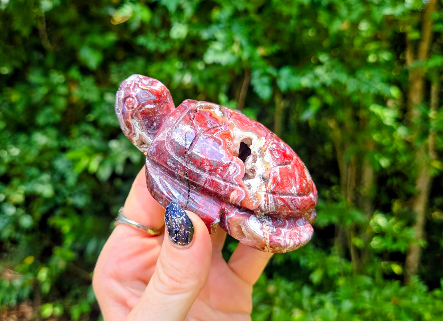 Druzy Mexican Agate Turtle 🐢