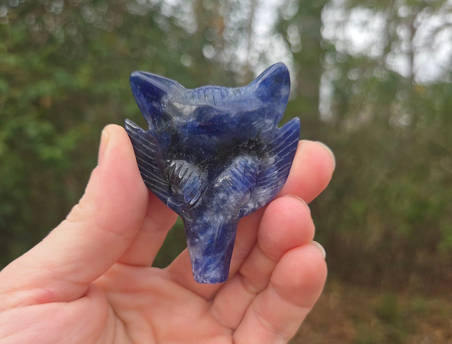 Sodalite Wolf 🐺 Head
