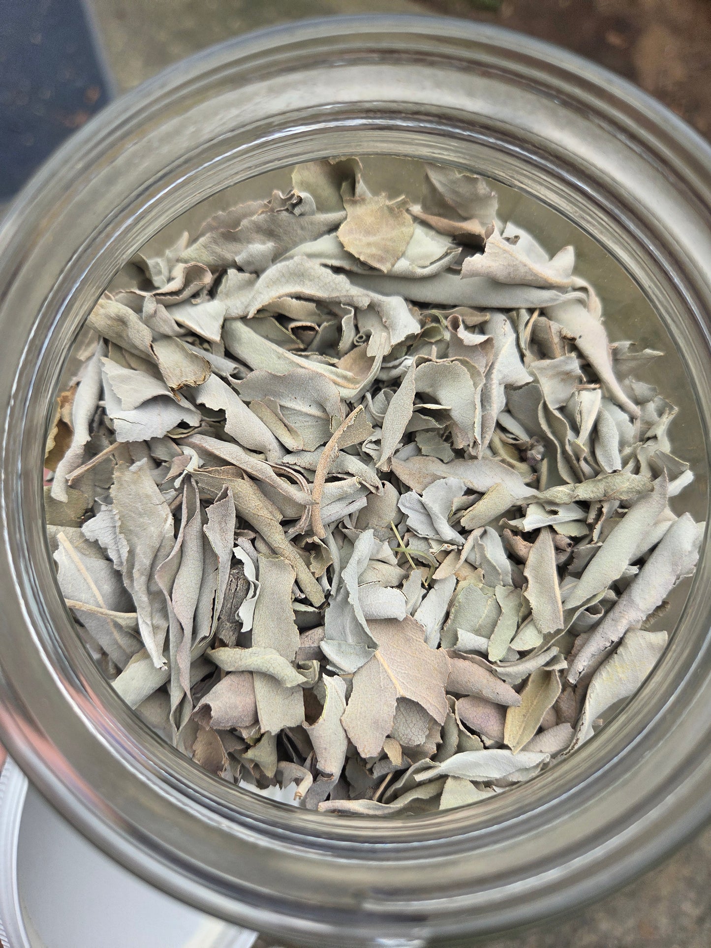 Loose White Sage