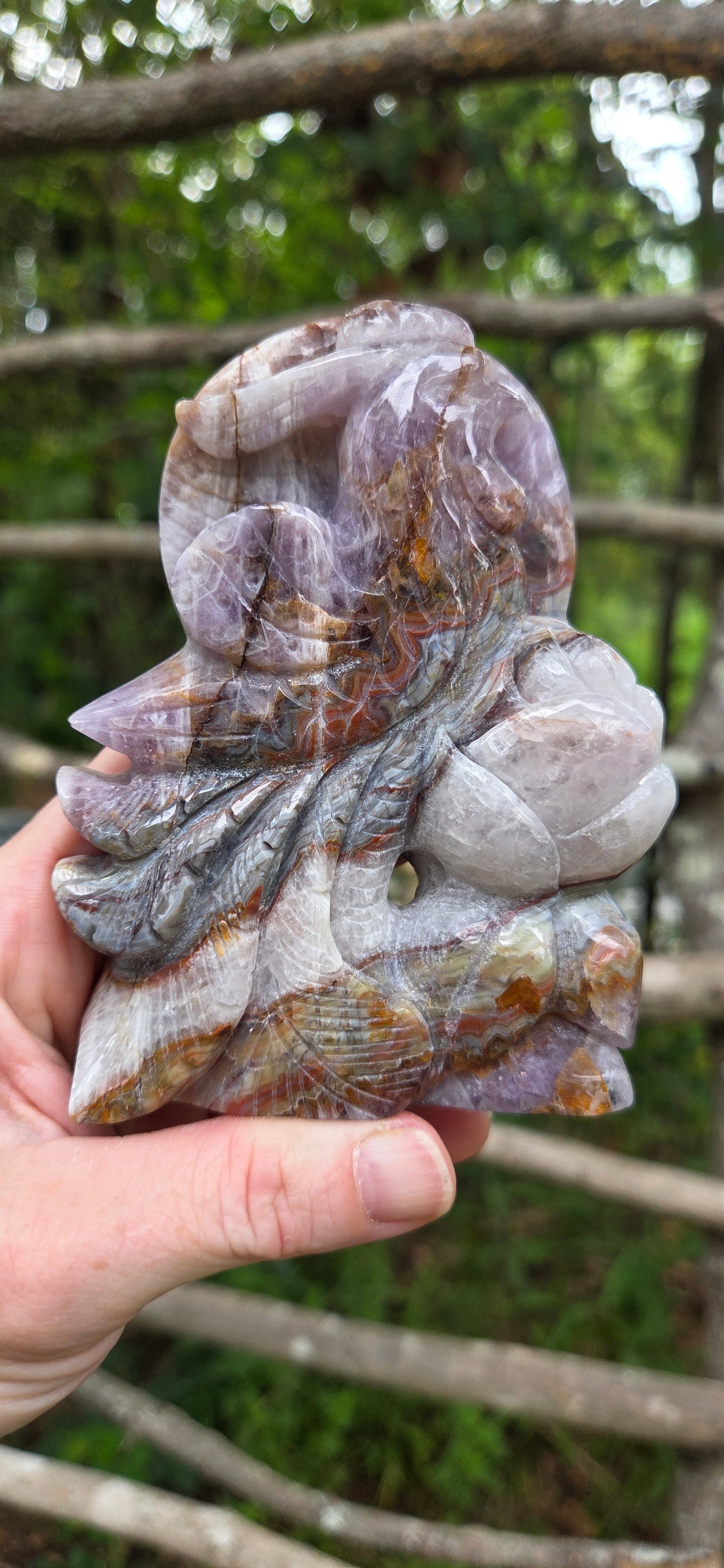 Amethyst Agate Phoenix