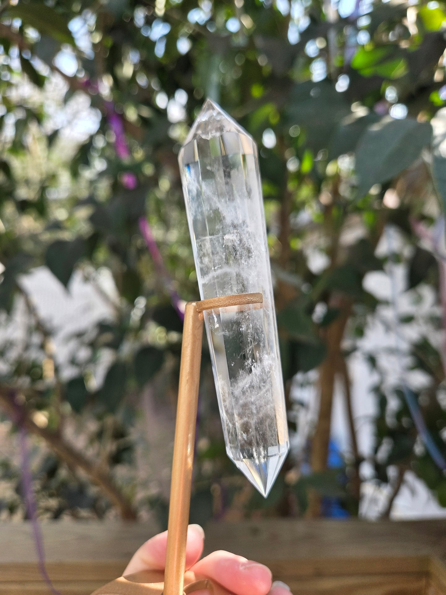 Double Terminated Faceted Quartz Wand