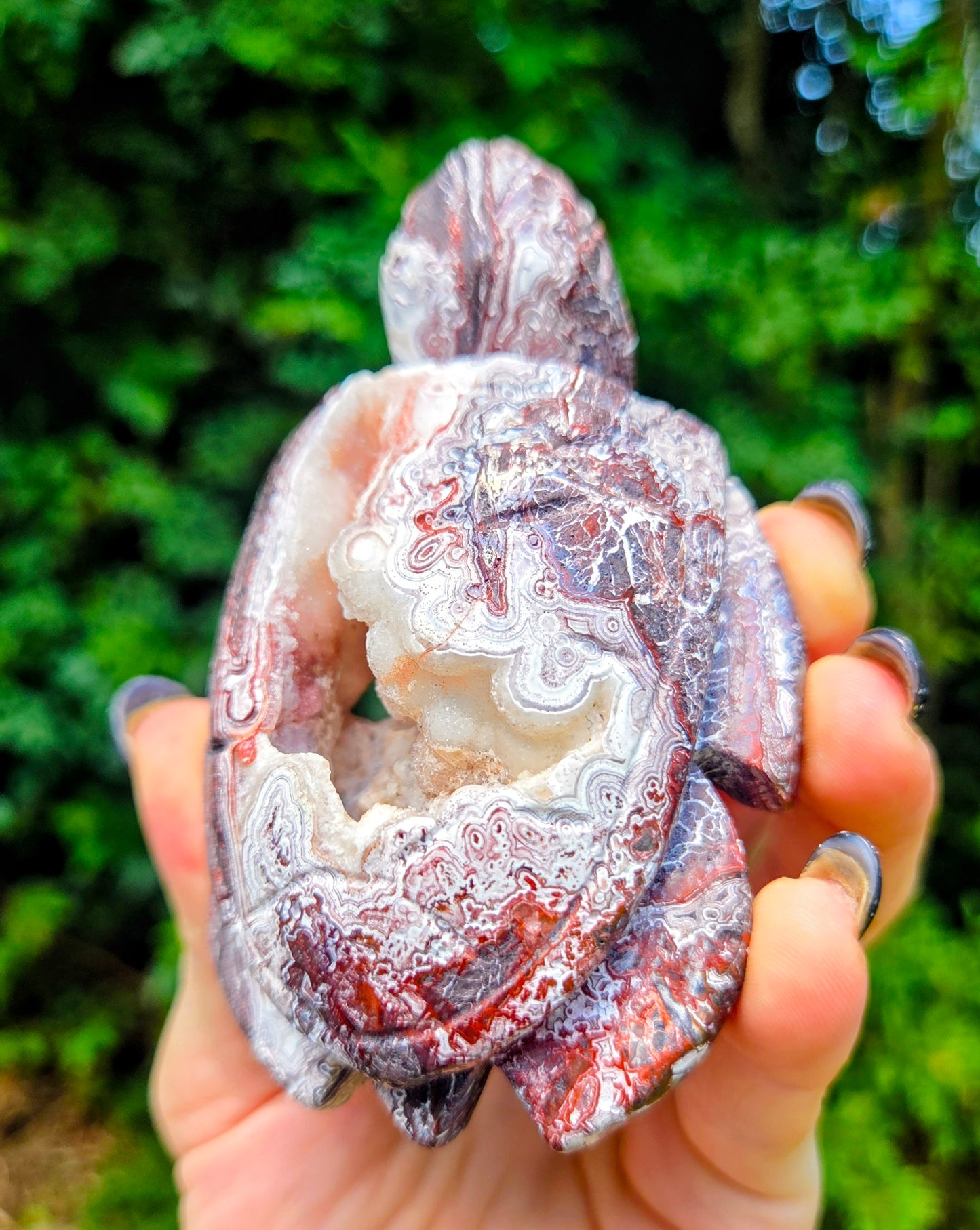 Druzy Mexican Agate Turtle 🐢