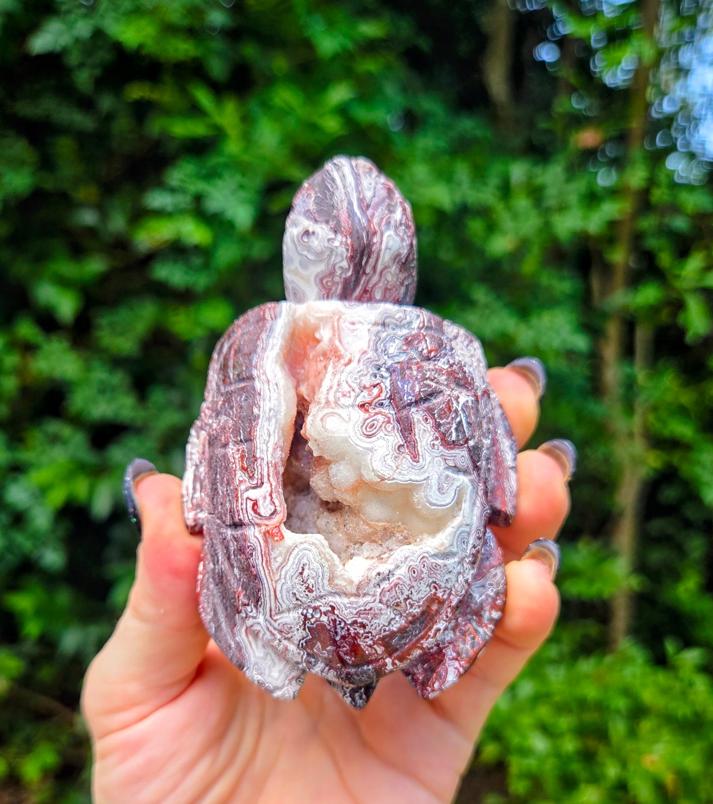 Druzy Mexican Agate Turtle 🐢