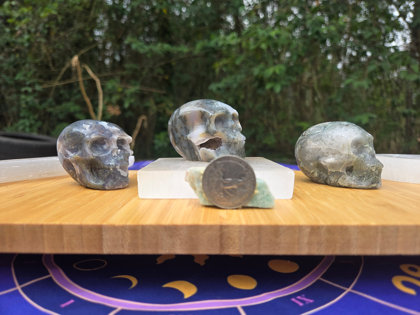 Moss Agate Skulls 💀