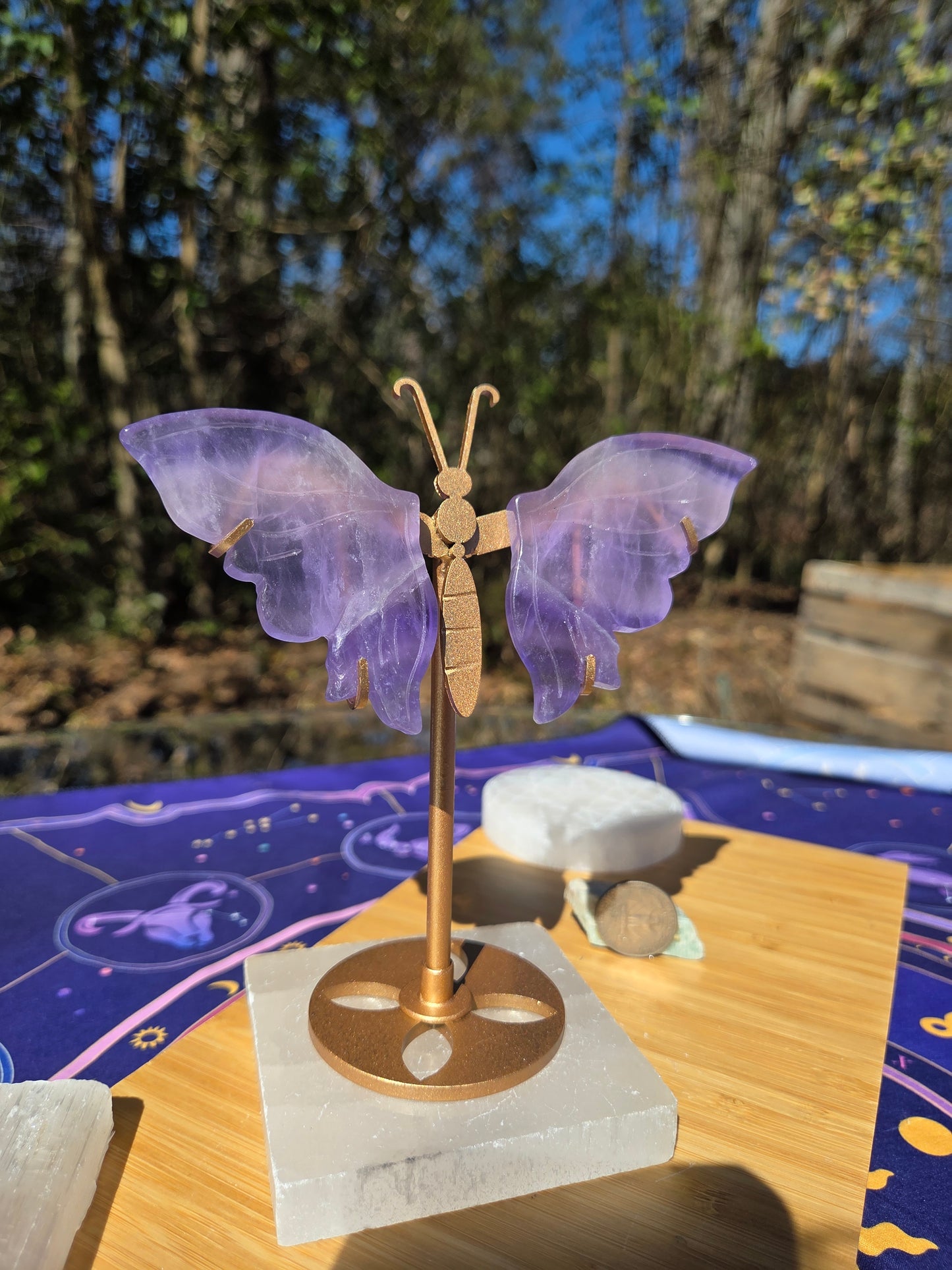 Purple Fluorite Butterfly